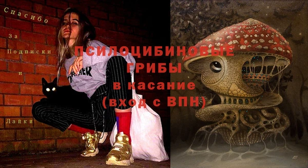 дурь Протвино