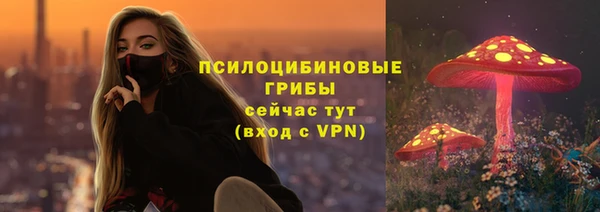 ГАЛЛЮЦИНОГЕННЫЕ ГРИБЫ Пролетарск
