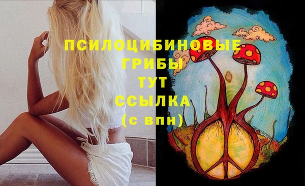 ГАЛЛЮЦИНОГЕННЫЕ ГРИБЫ Пролетарск
