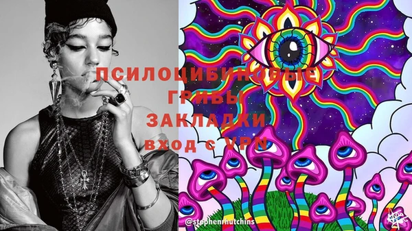 ГАЛЛЮЦИНОГЕННЫЕ ГРИБЫ Пролетарск