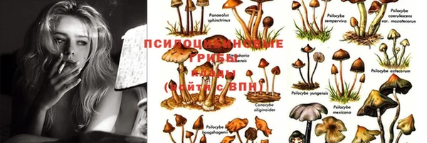 марки nbome Приозерск