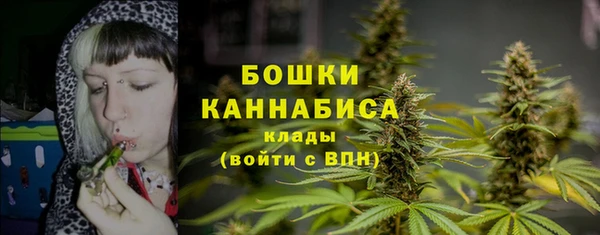дурь Протвино